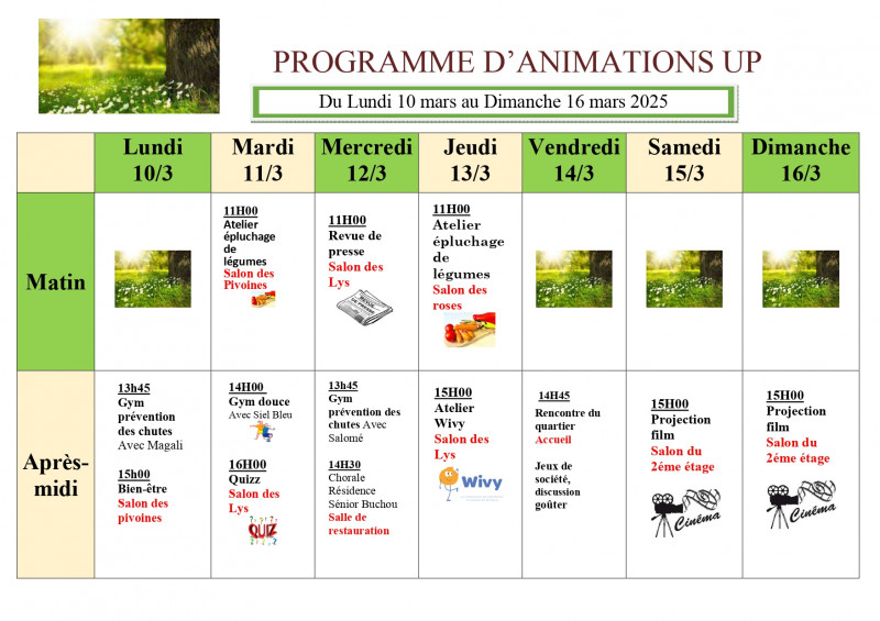 Animation