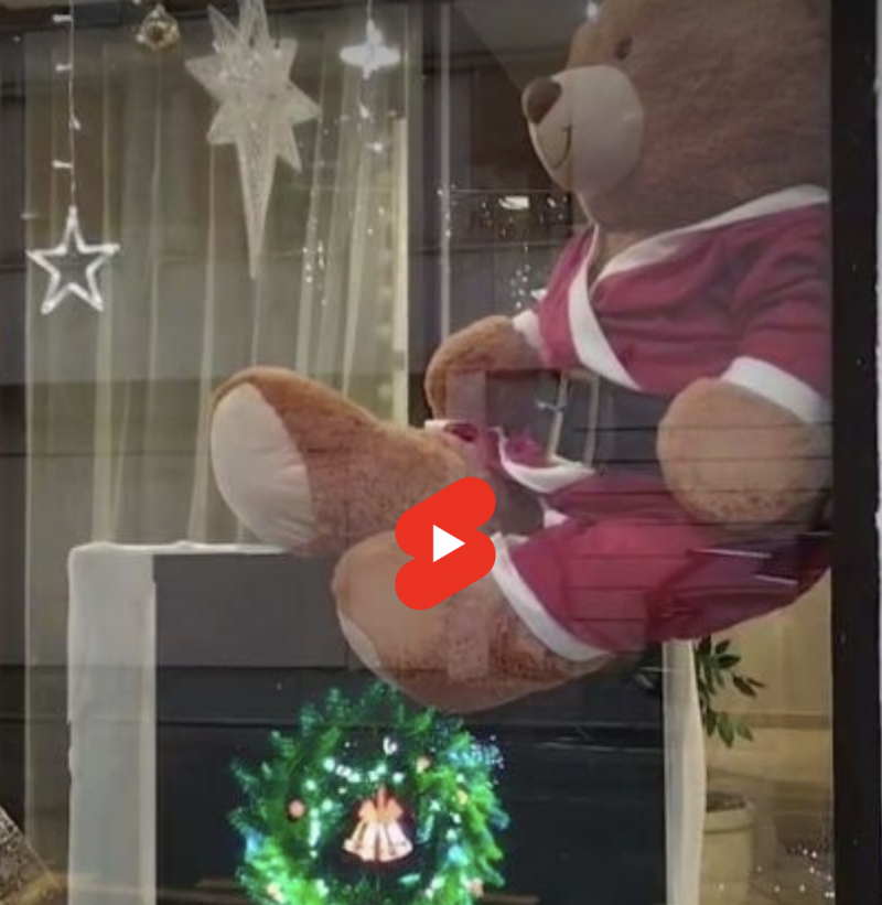 Vitrine de Noël