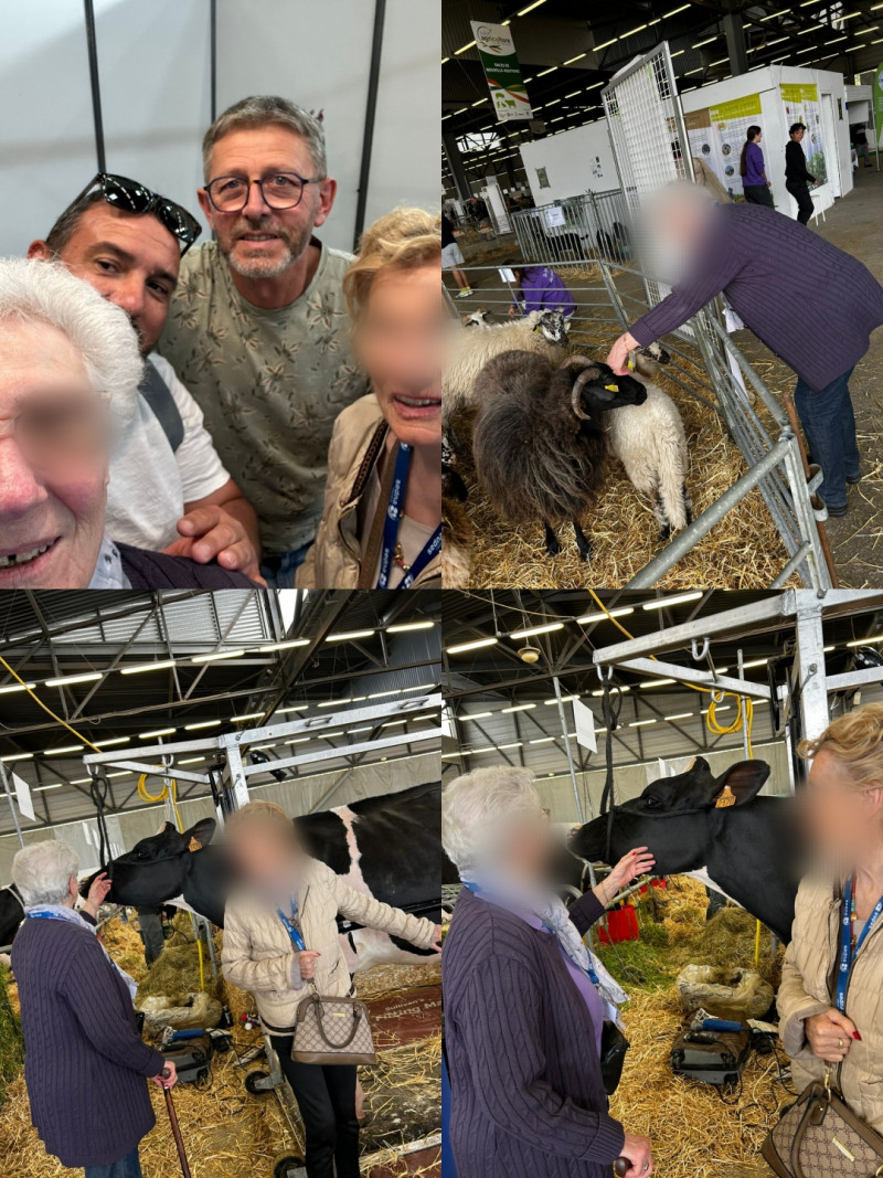 actualité EHPAD SEDNA