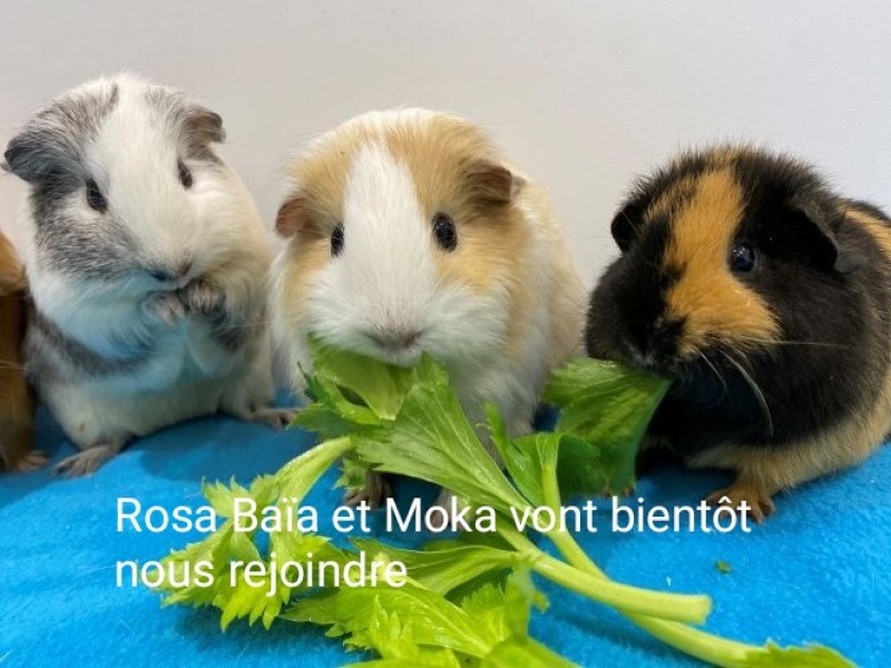 actualité EHPAD SEDNA