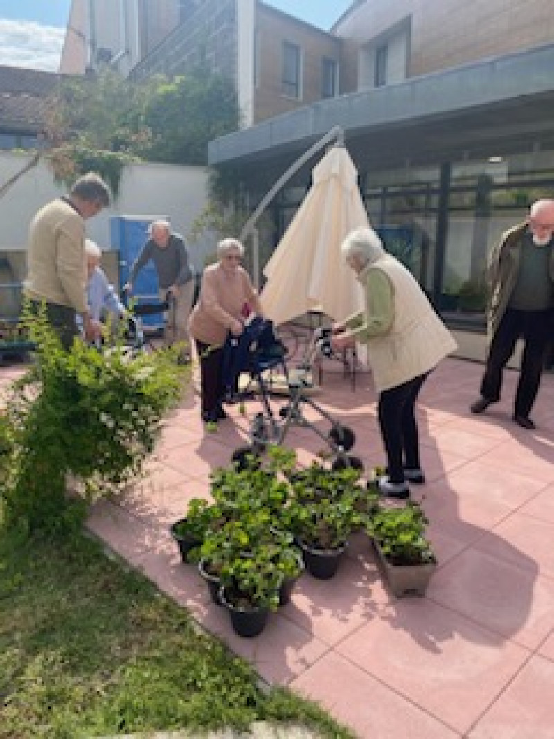 Balade dans le jardin