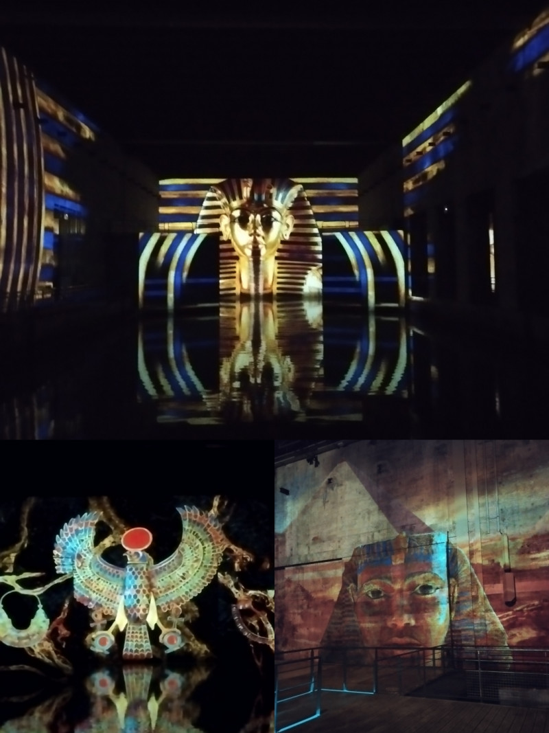 Sortie culturelle au Bassin des Lumières : un voyage au cœur de l'Égypte des Pharaons.
