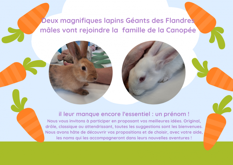 résidence médicalisée SEDNA France