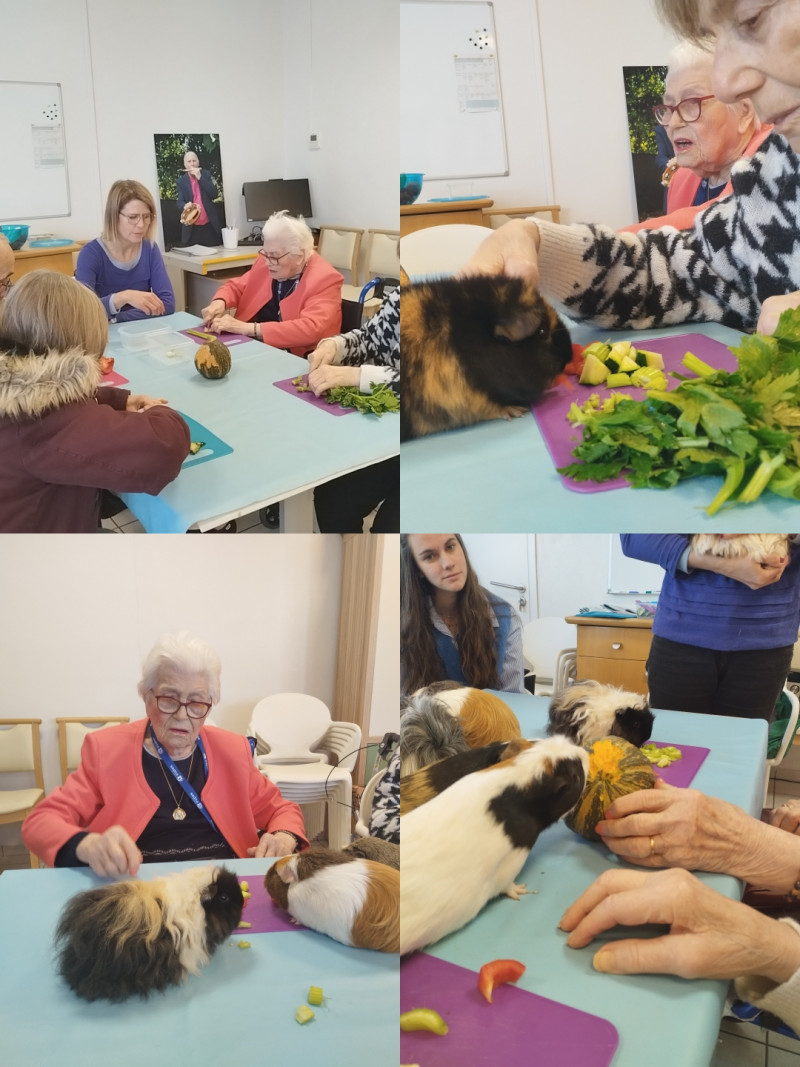 Atelier de Médiation Animale à l'Échoppe Belcier.
