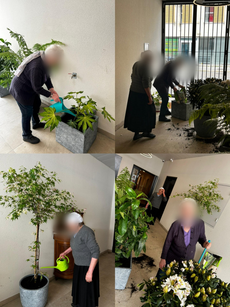actualité EHPAD SEDNA