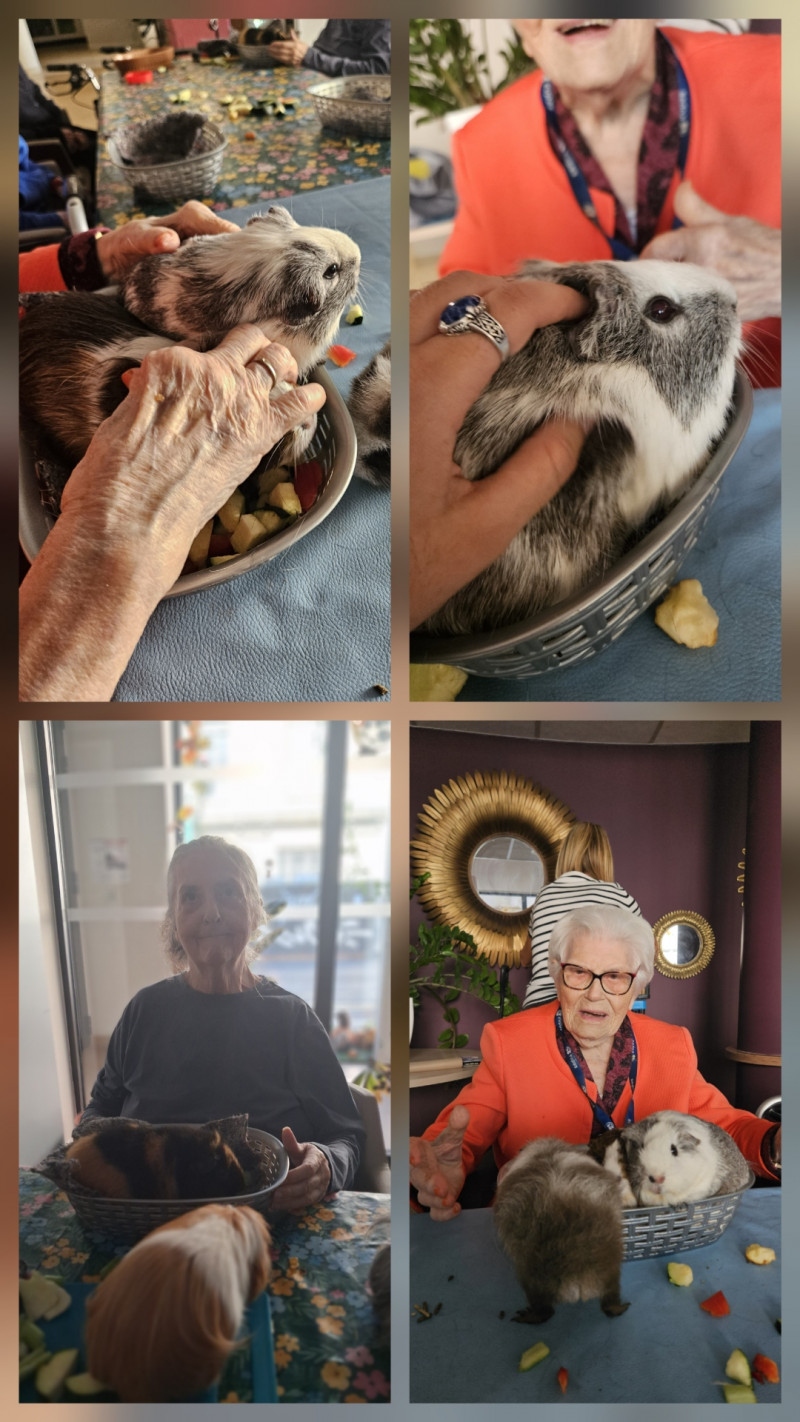 actualité EHPAD SEDNA