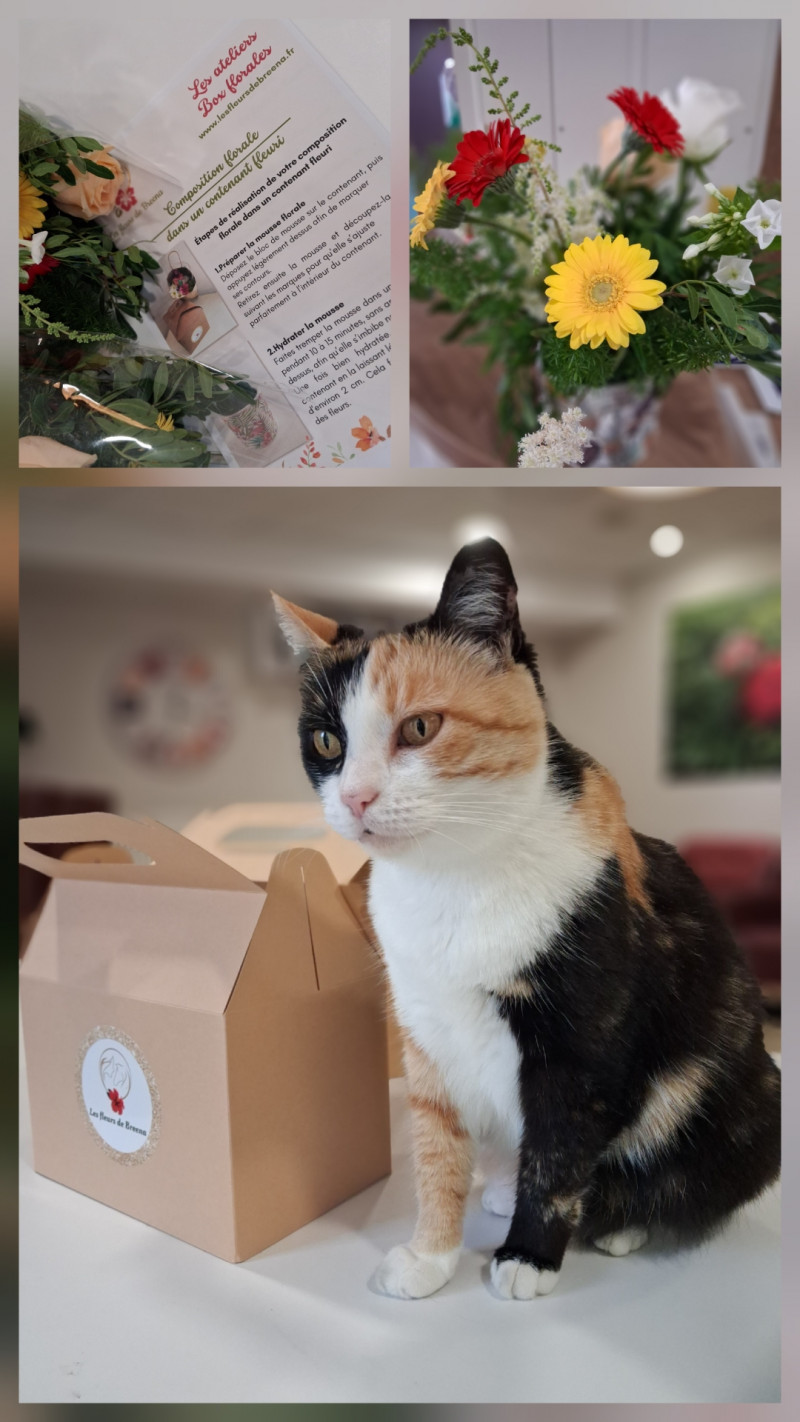 Nouveau projet à La Canopée : Atelier de composition florale.