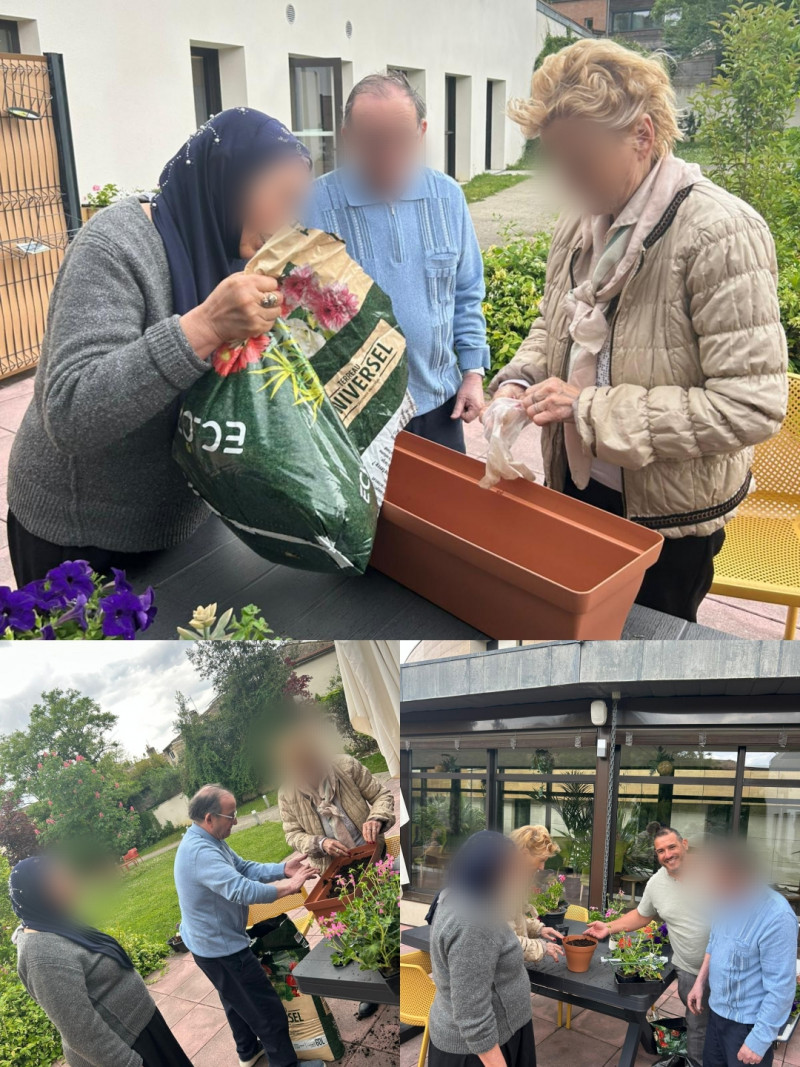 Une Journée Fleurie pour l’Accueil de Jour : Sortie à Jardiland et Atelier Rempotage avec André.