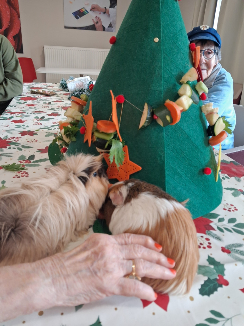 actualité EHPAD SEDNA