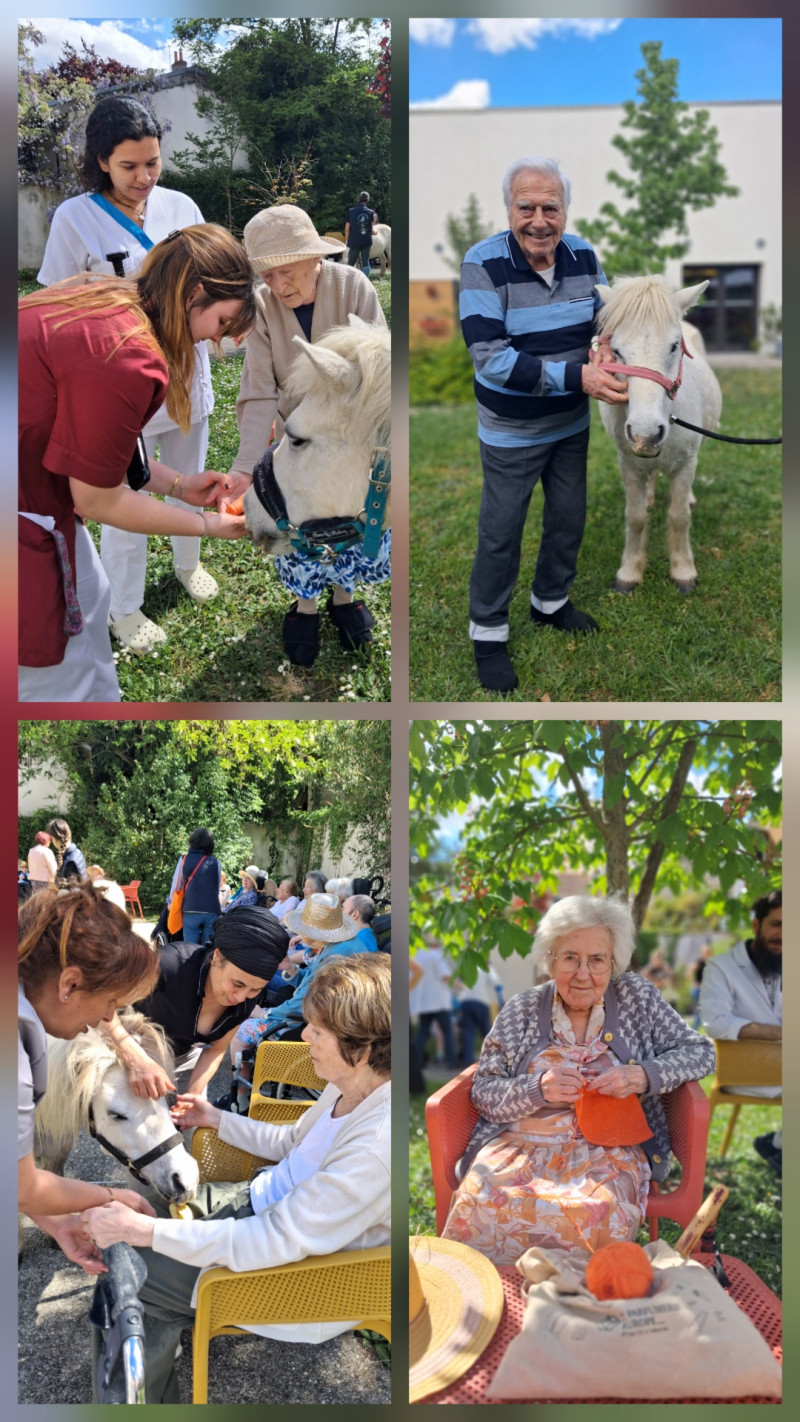 résidence médicalisée SEDNA France